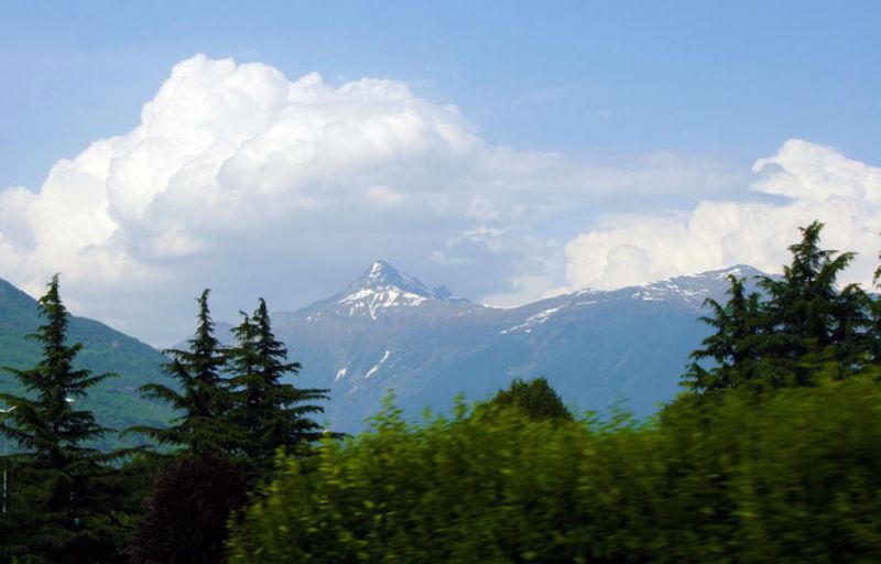 Natur 26