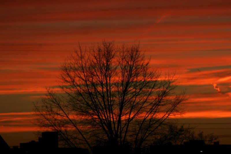 Natur 28